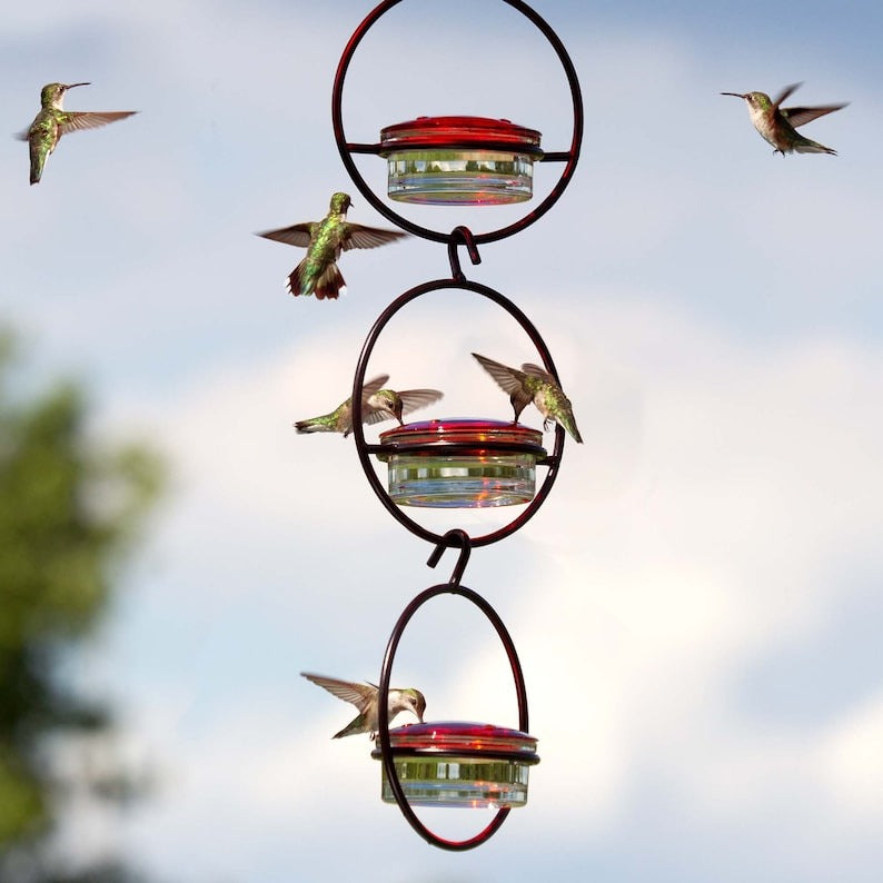 Hummble Bold Hummingbird Feeder
