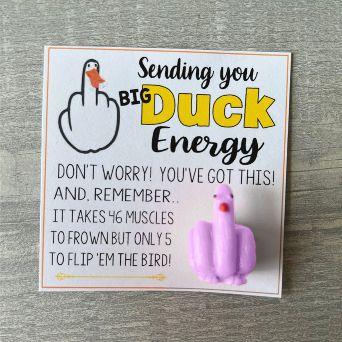 🤣Funny Middle Finger Duck Lucky Charm Gift🎁