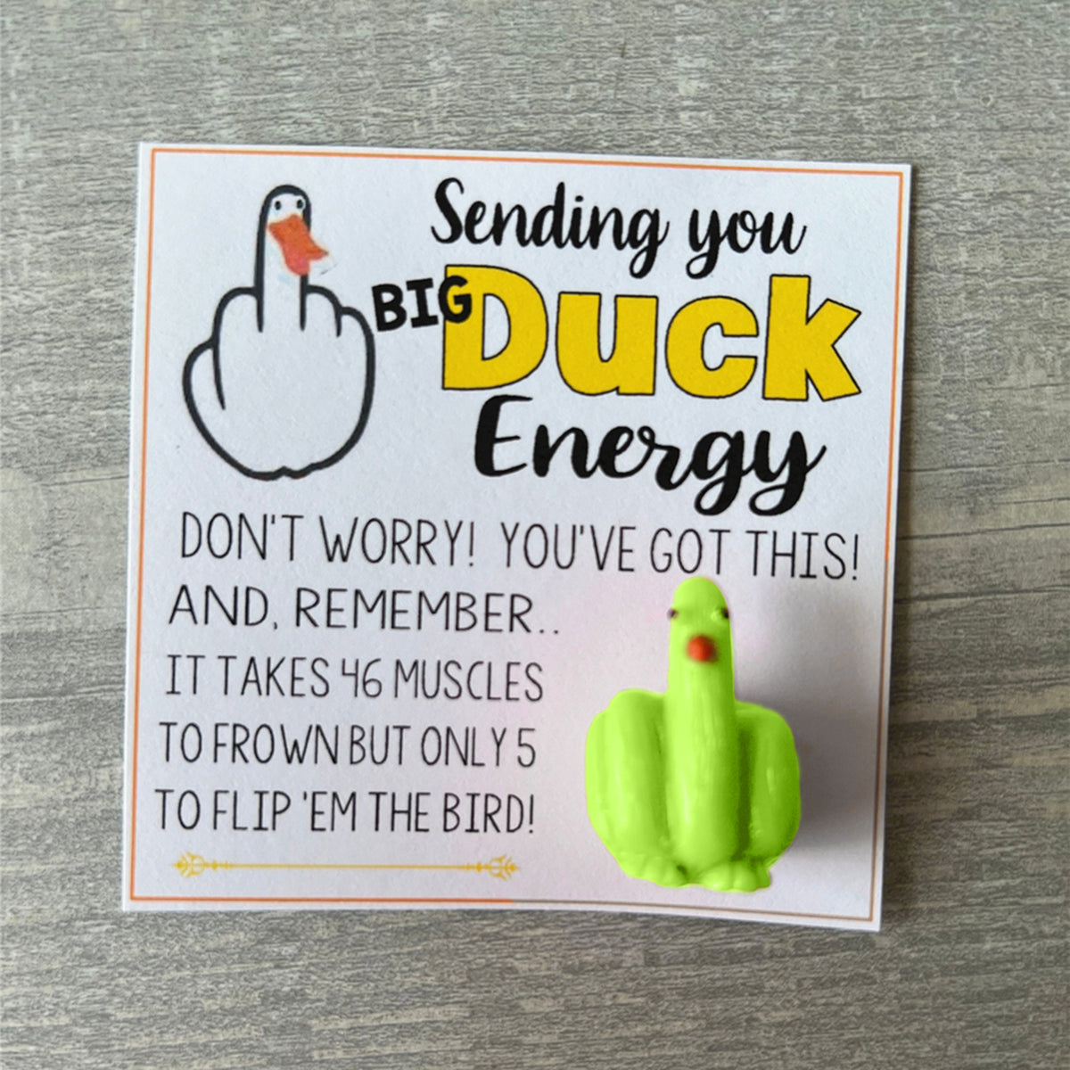 🤣Funny Middle Finger Duck Lucky Charm Gift🎁