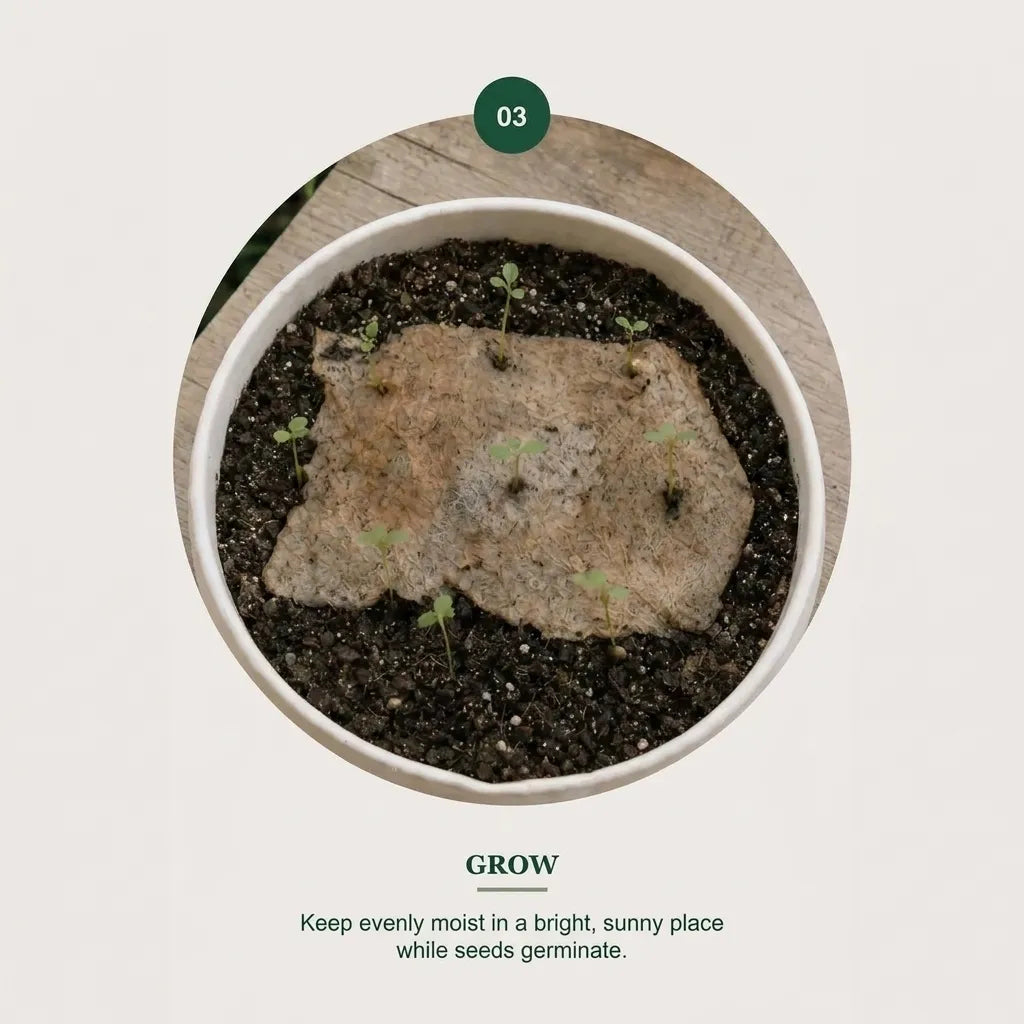 🌱 2027 Seed Paper Calendar – Grow a Garden Month by Month, A Gift of Hope &amp; Sustainability