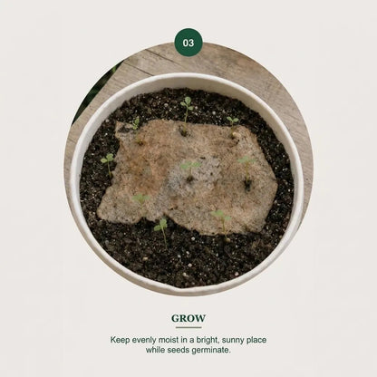 🌱 2027 Seed Paper Calendar – Grow a Garden Month by Month, A Gift of Hope &amp; Sustainability