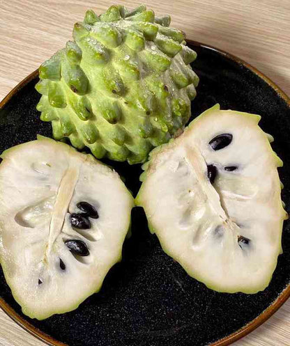 【SummerVibes】Organic Soursop (Graviola) Seeds – 30pcs Non-GMO Heirloom Tropical Fruit seeds