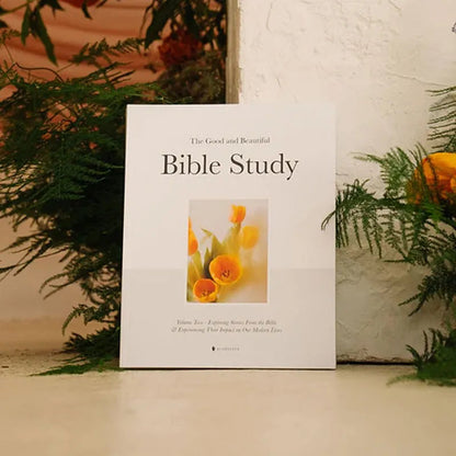 🙏The Good and Beautiful Bible Study✝️