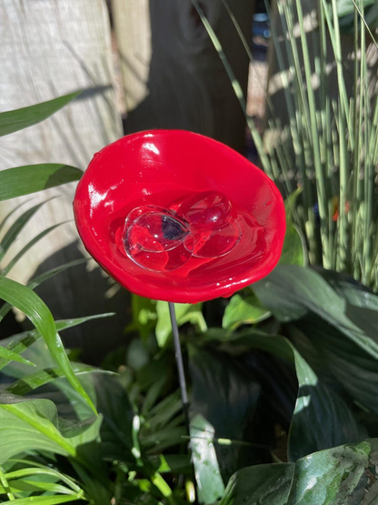 🔥Handmade Bee Watering Station, Butterfly Puddler, Hummingbird Drinking Cups