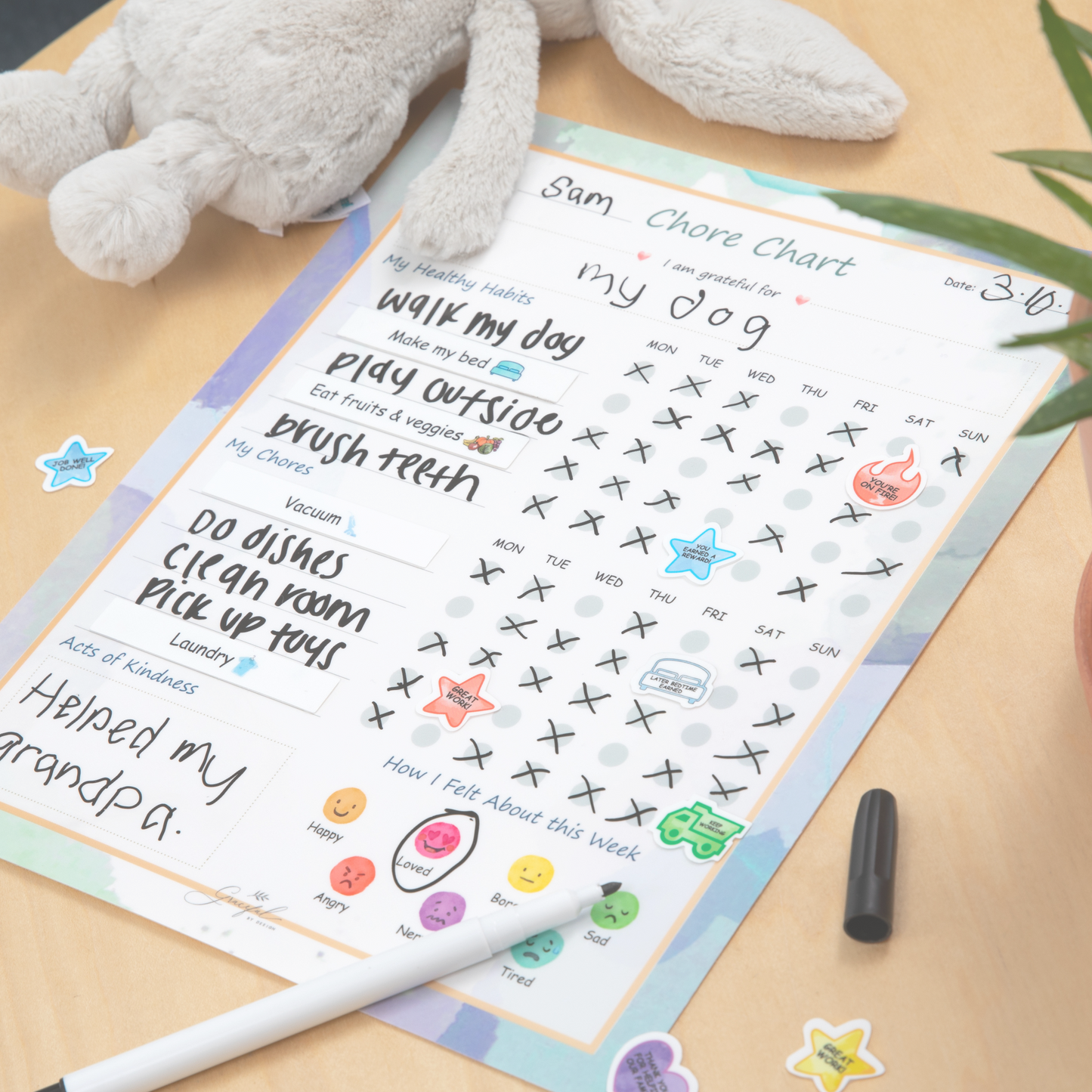 🌈Flexible Stick Weekly Chore Chart and Emotion Tracker for Kids👦👧🏽