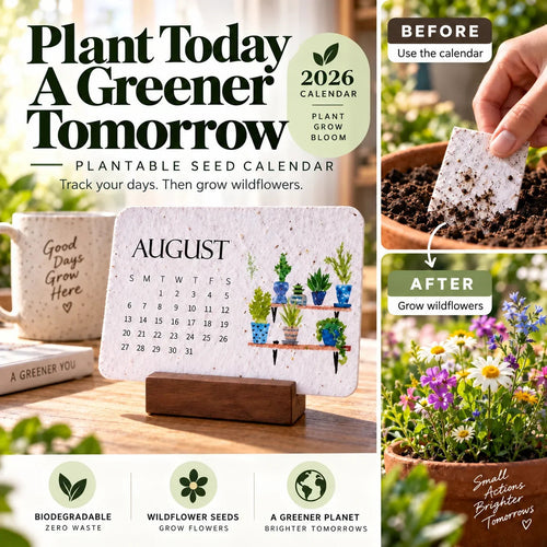 🌱📅Plantable Seed Calendar 2027 – A Year of Growing Beauty