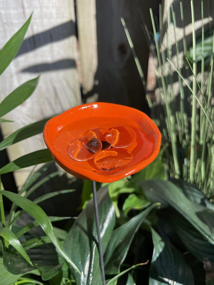 🔥Handmade Bee Watering Station, Butterfly Puddler, Hummingbird Drinking Cups