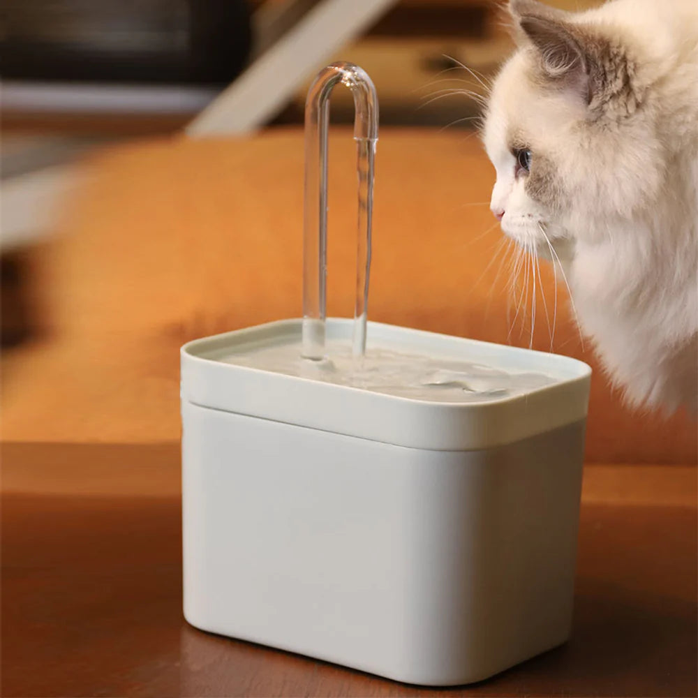 😸🐶Automatic Cat Water Fountain🐾