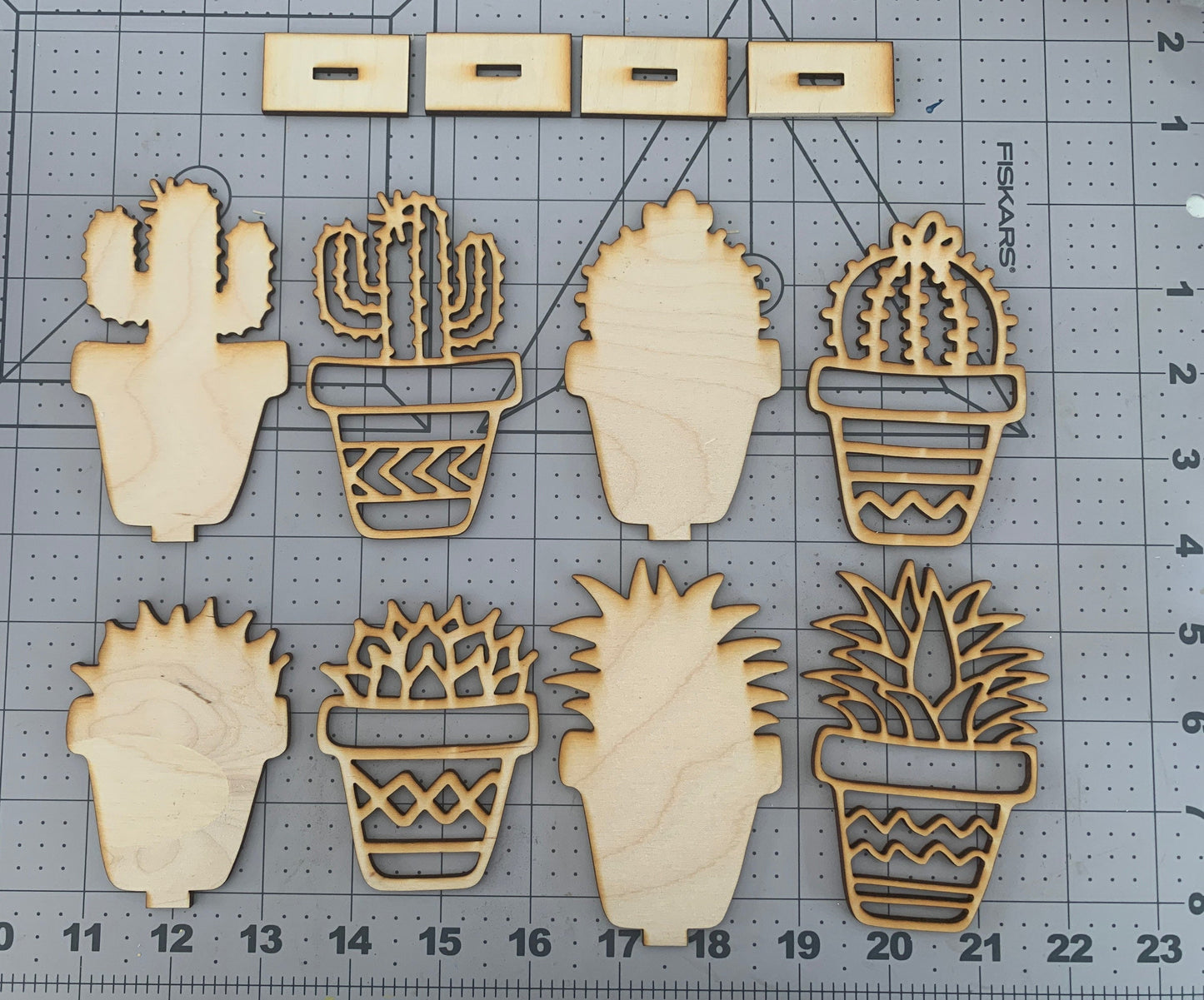 ✨Mini Succulent DIY paint craft kit