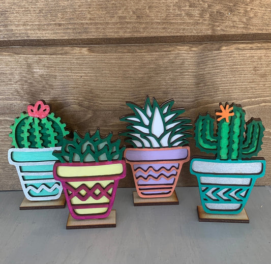 ✨Mini Succulent DIY paint craft kit