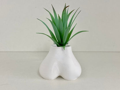 🤣 Funny P*nis Planter Pot - 🔥🔥BUY 2 Free Shipping